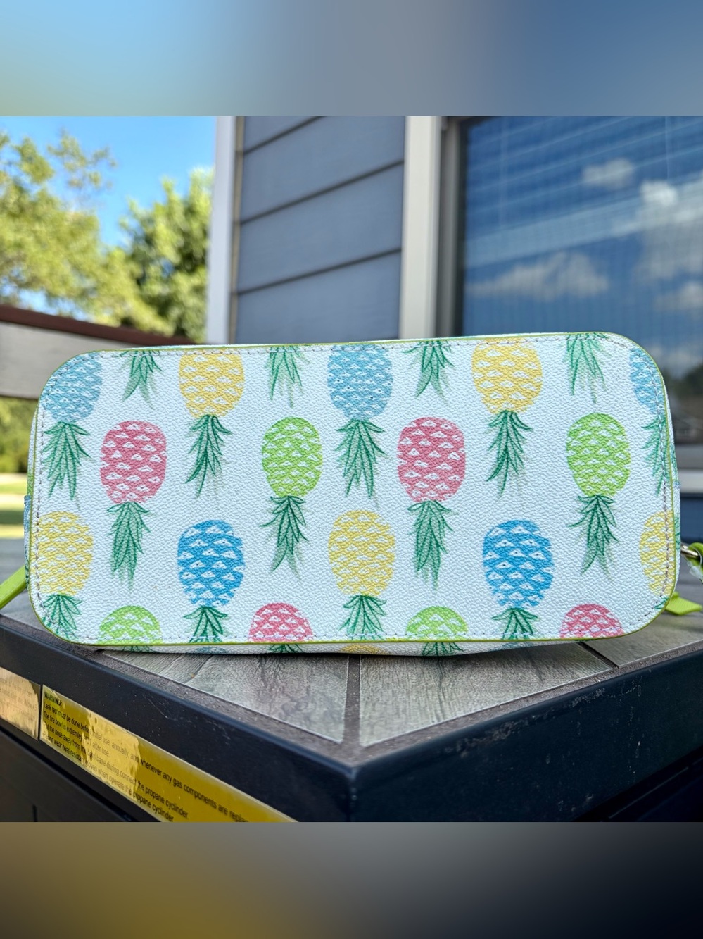 Dooney & Bourke Pineapple Mini Ruby Crossbody Bag Satchel Purse Summer EUC - Picture 10 of 16